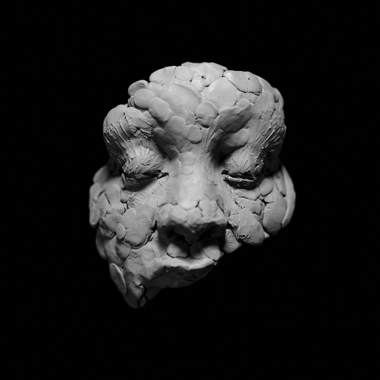 joy_oladokun_cover1.jpg